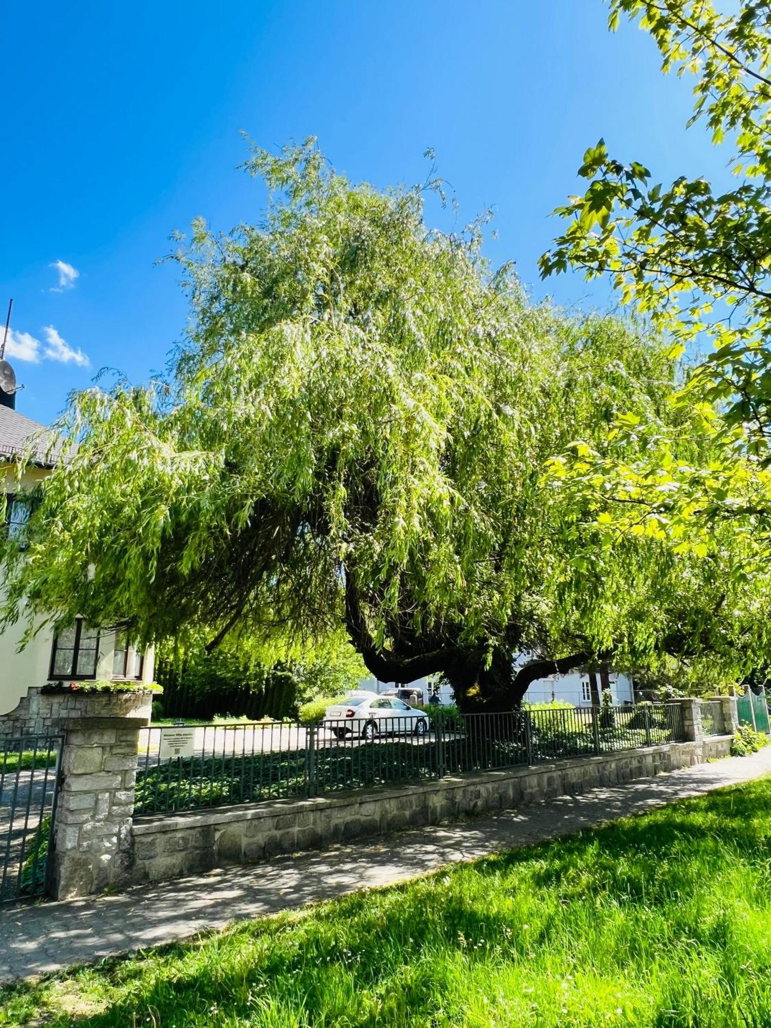 Penzion Villa Ancora Sumperk Bagian luar foto