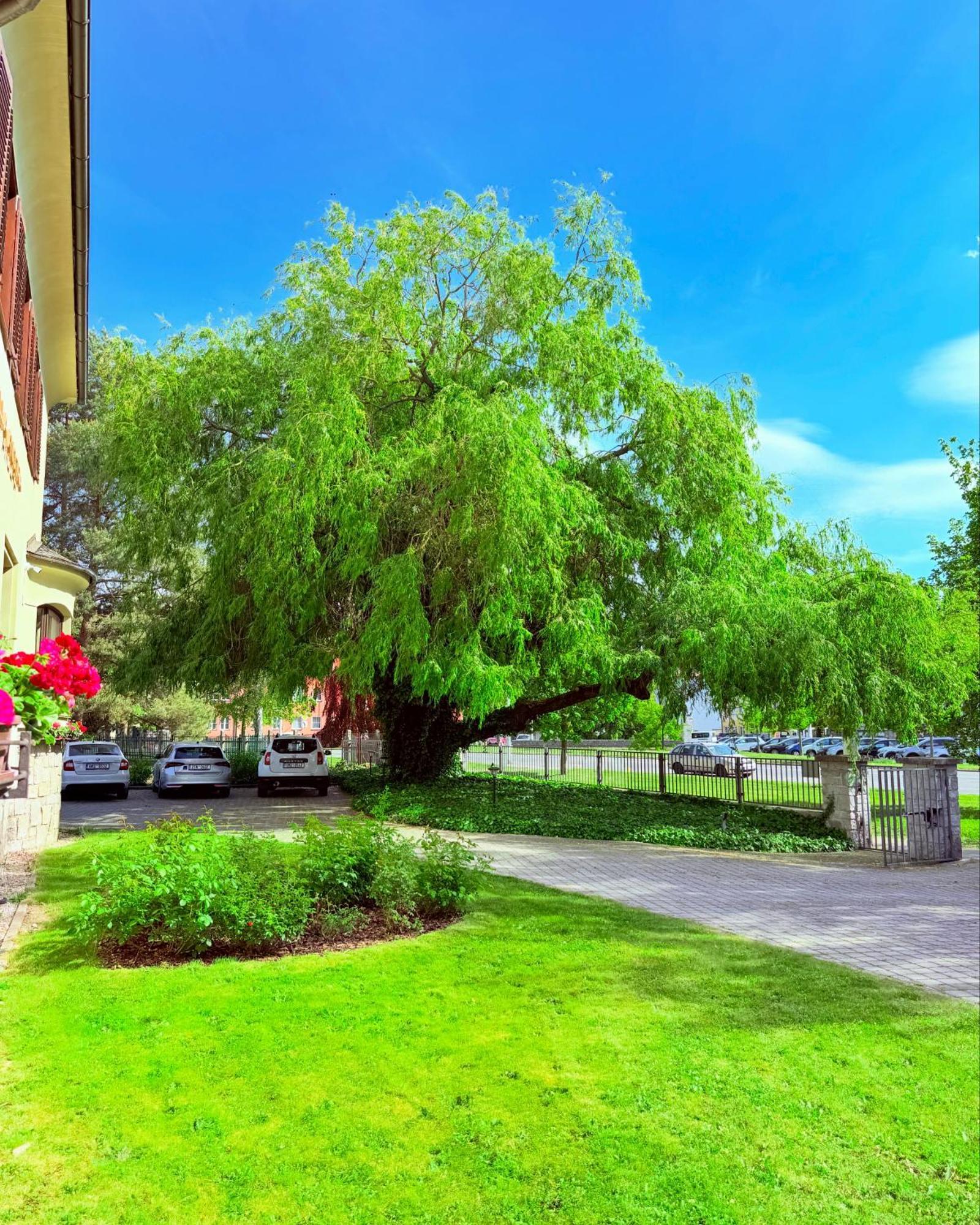 Penzion Villa Ancora Sumperk Bagian luar foto